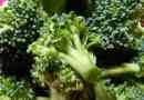 Hur man fryser broccoli på rätt sätt