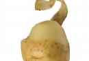Hur man vet om potatis är dålig