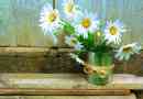 Hur man gör en blomkruka av avfallsmaterial - 6 diy-tutorials