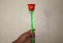 Hur man gör plasticine crafts: easy rose
