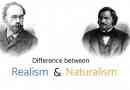 Vad är skillnaden mellan realism och naturalism i litteraturen
