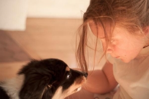 5 Huskurer för att bli av med dålig andedräkt hos hundar