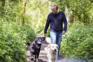 Hur många gånger om dagen ska du gå med en hund