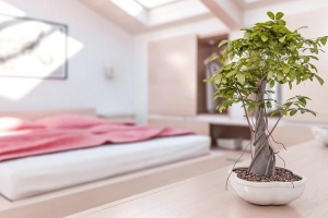 Hur man inreder ett sovrum i feng shui-stil