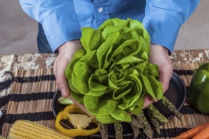 Hur man odlar sallad inomhus hemma