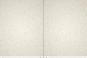 Hur man döljer anslutningstiden i whatsapp för android