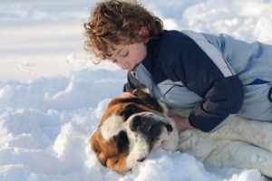 Hur man håller en hund varm ute