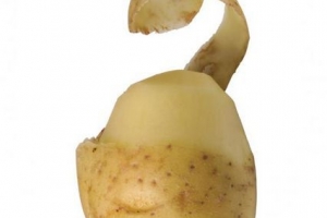 Hur man vet om potatis är dålig