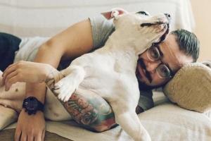 Hur man vet om din pit bull är renrasig - idiotsäkra egenskaper