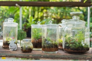 Hur man gör ett billigt terrarium