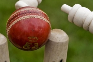 Hur man gör en cricketboll