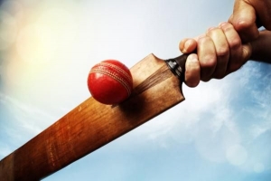 Hur man gör en cricketbat hemma