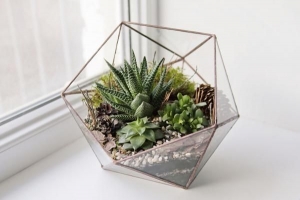 Hur man gör ett diy-suckulent-terrarium - alternativ till glasskålen