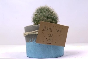 Hur man gör blomkrukor med cement