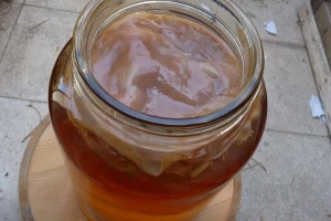 Hur man gör kombucha-te hemma