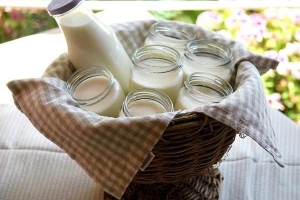 Hur man gör sojayoghurt hemma