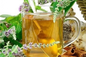 Hur man förbereder en infusion av salvia