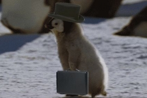 Hur man lägger en gif på microsoft powerpoint