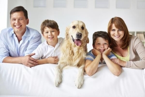 Hur man tar bort hundlukt från mitt hus