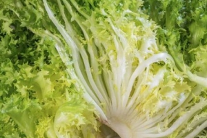 Hur man tar bort bitterheten från escarole