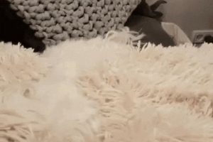 Hur man skickar gif-filer på whatsapp