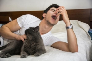 Jag är allergisk mot katter men jag älskar dem - vad ska jag göra