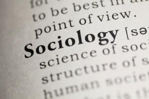 Vilka är sociologins huvudgrenar?