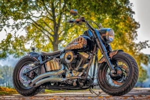 Vad är den genomsnittliga livslängden för en motorcykel?