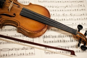 Vad är skillnaden mellan en violin och en viola