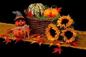 Vad ska man göra om det regnar på halloween