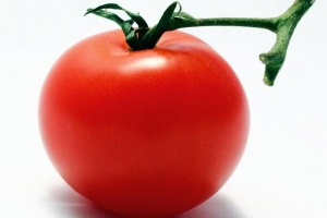 När ska man plantera tomater