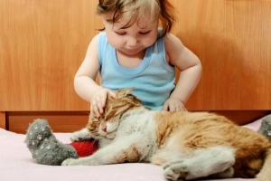 Varför sover min katt ovanpå mig